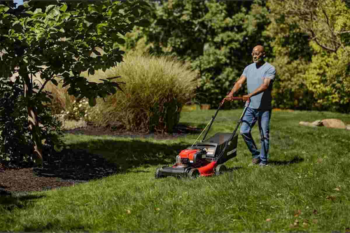 Best Mulching Lawn Mowers