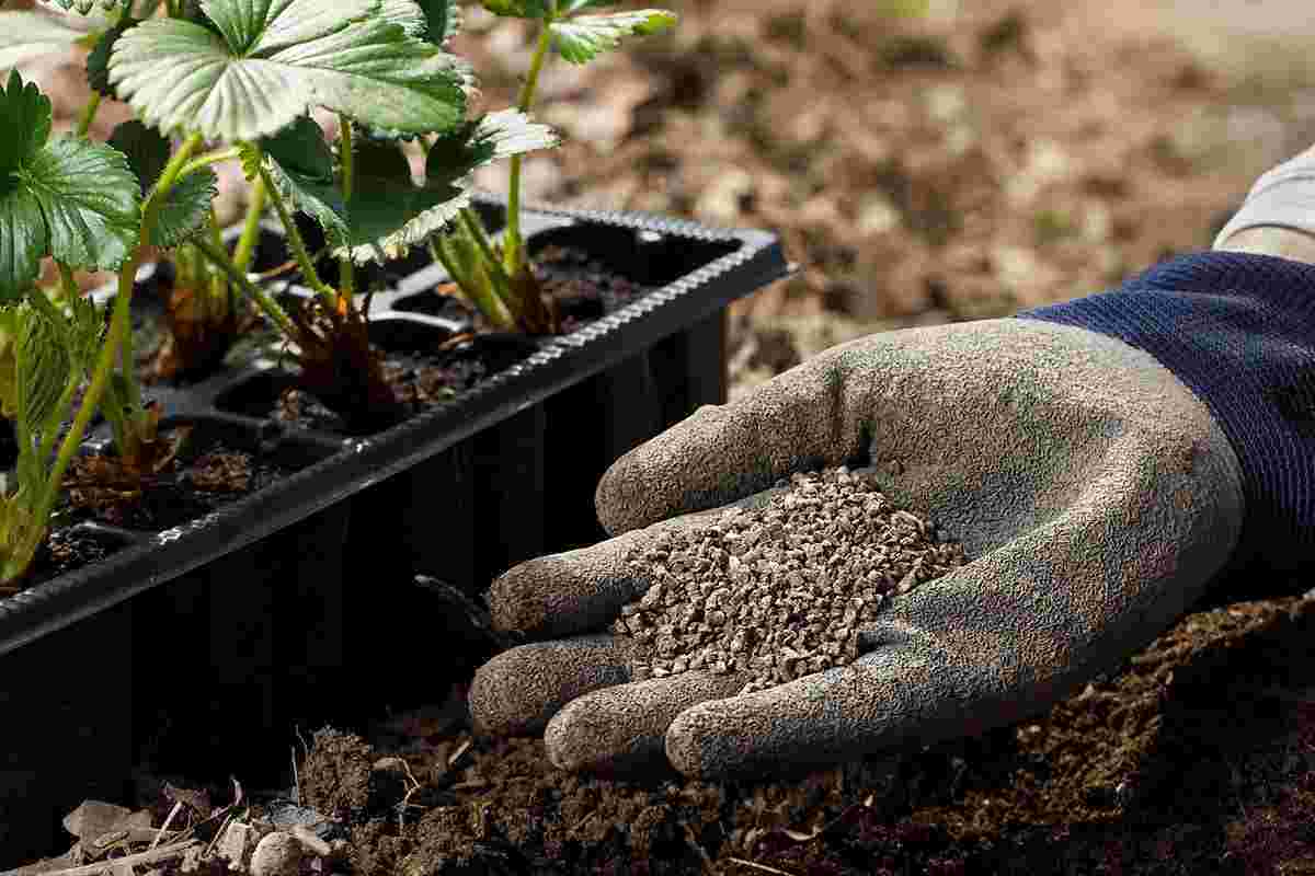 Best Organic Composts