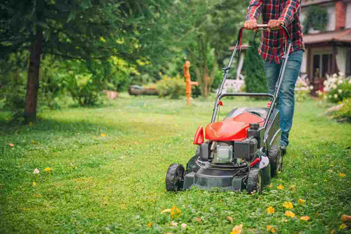 Best Self-Propelled Lawn Mowers