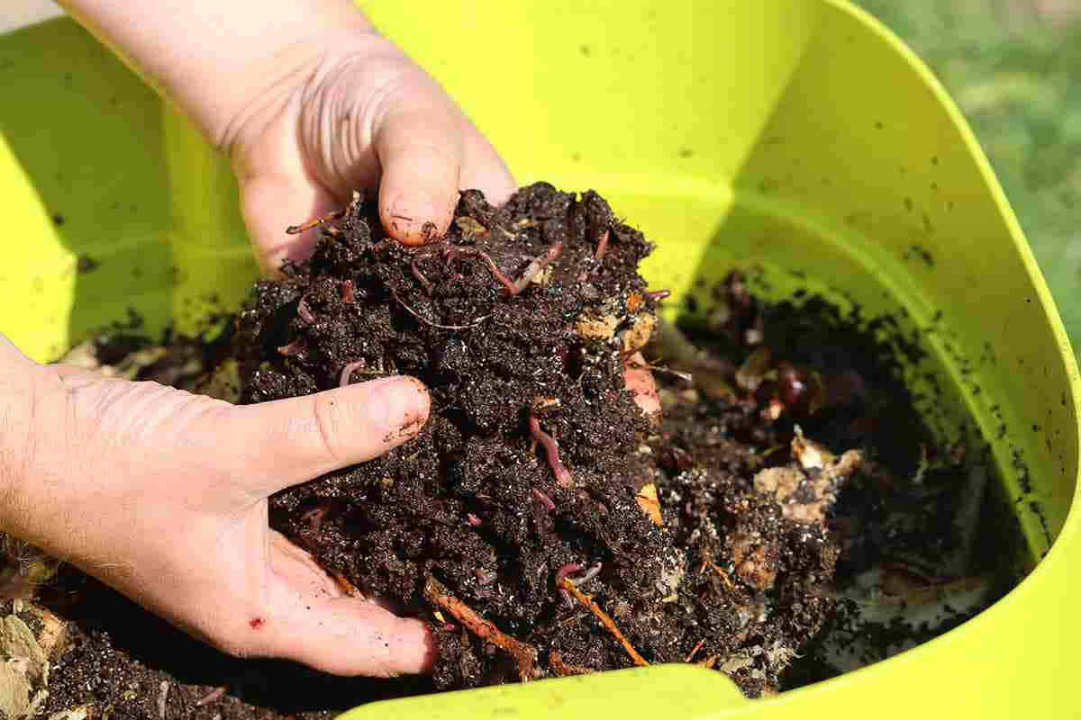 Best Worm Composters