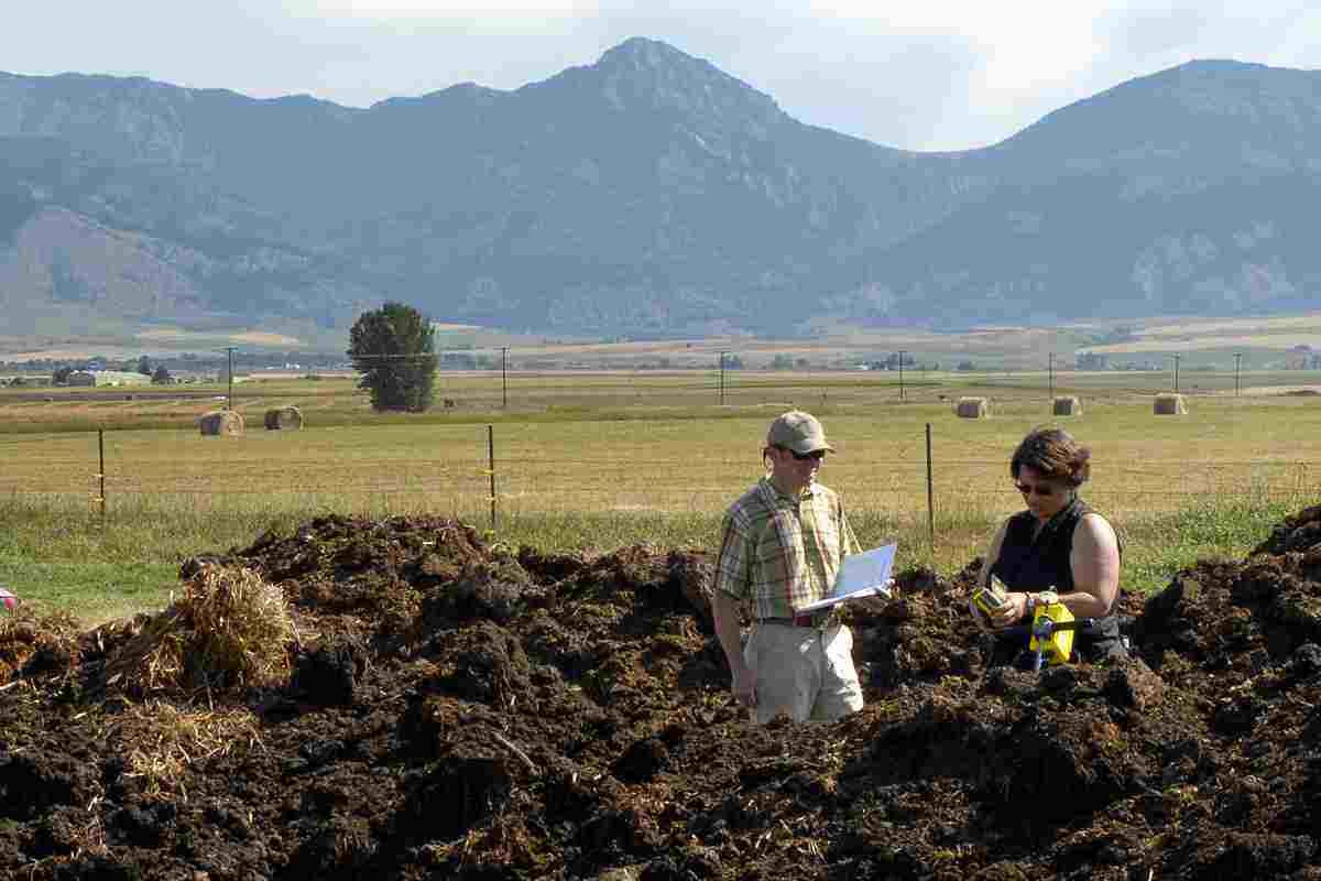 How Often To Turn Compost