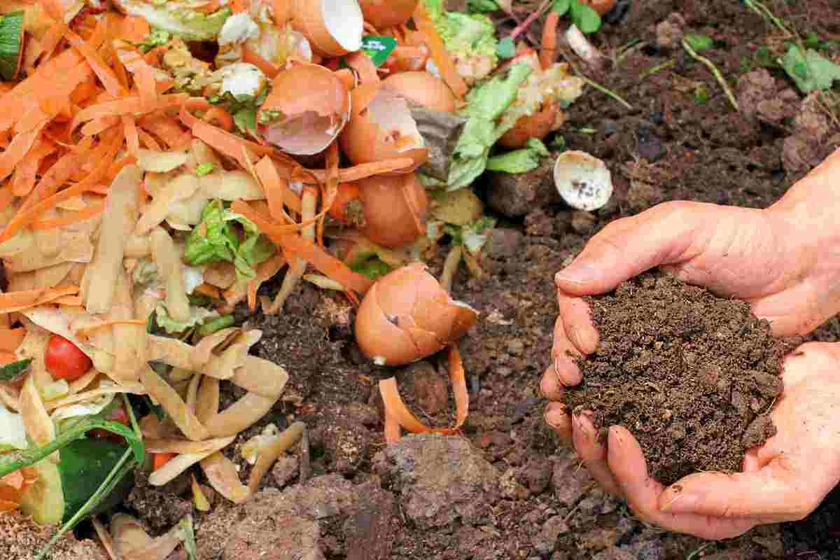 How To Compost