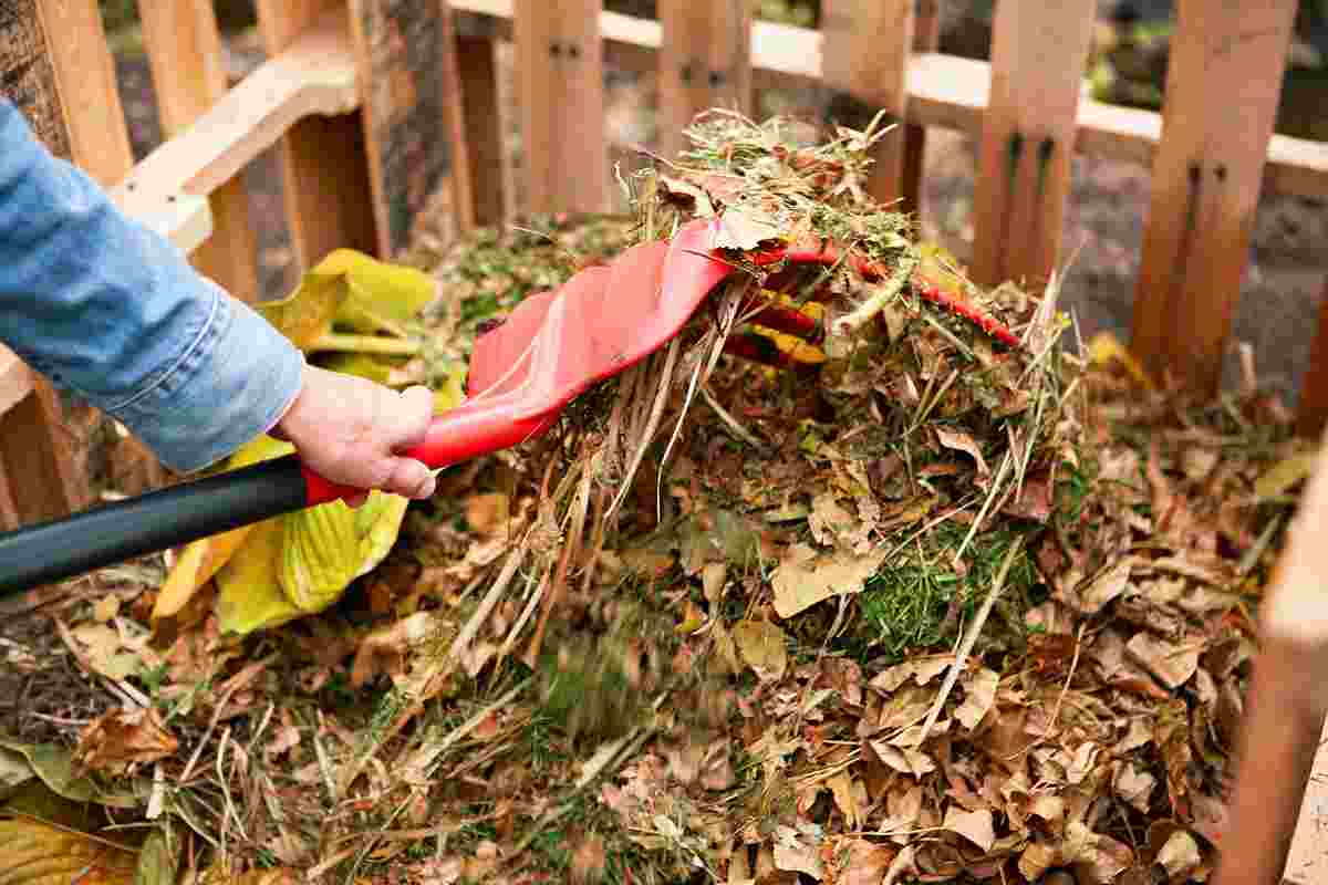 How To Compost Leaves