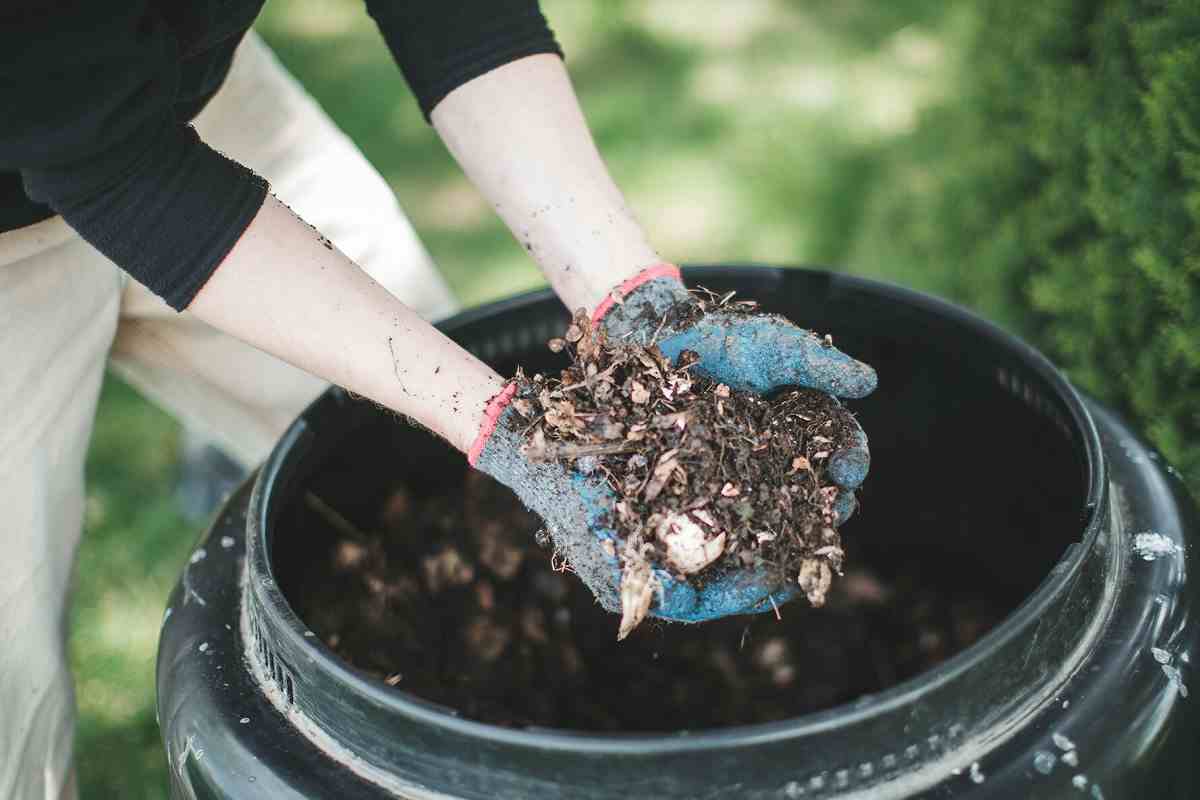 How To Compost Wood Chips Fast
