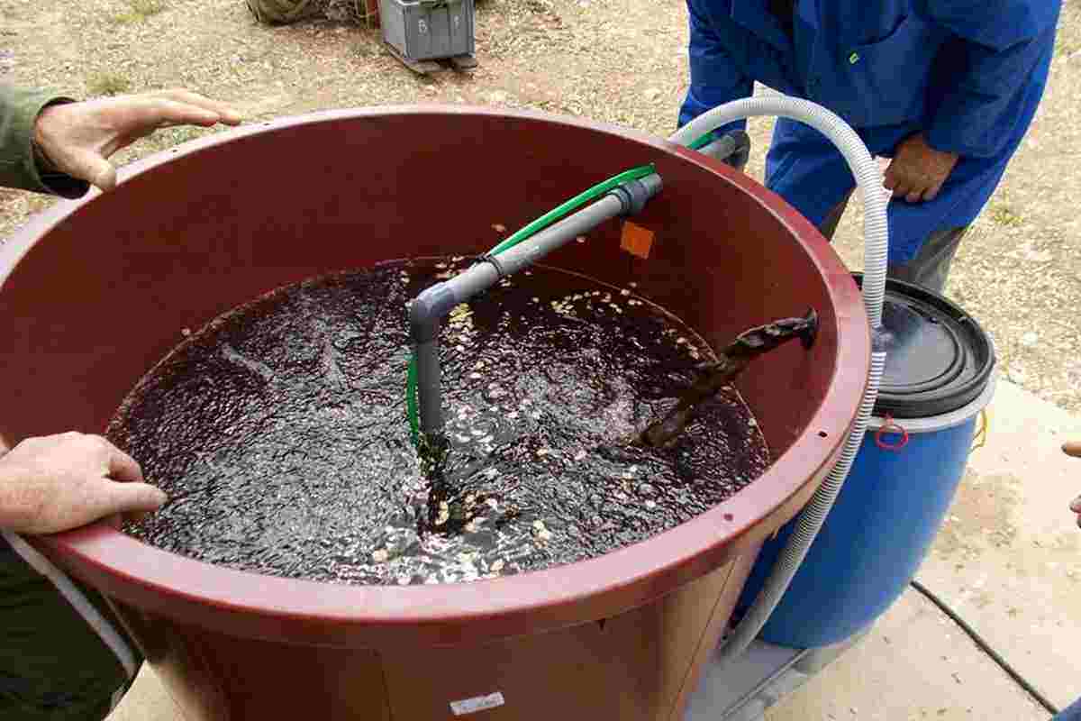 How To Make Compost Tea