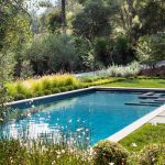 A Pool In Your Landscape Design