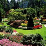 landscape design